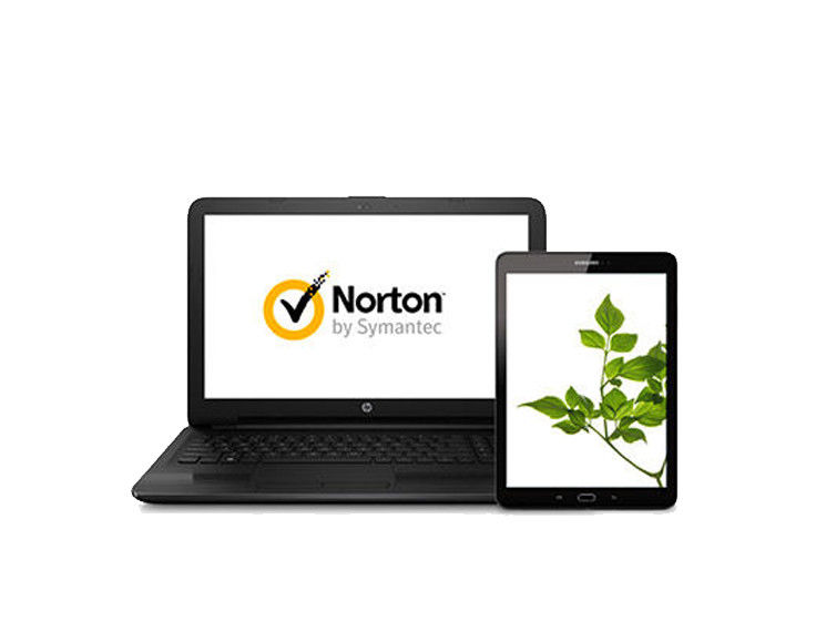 Norton Security Online